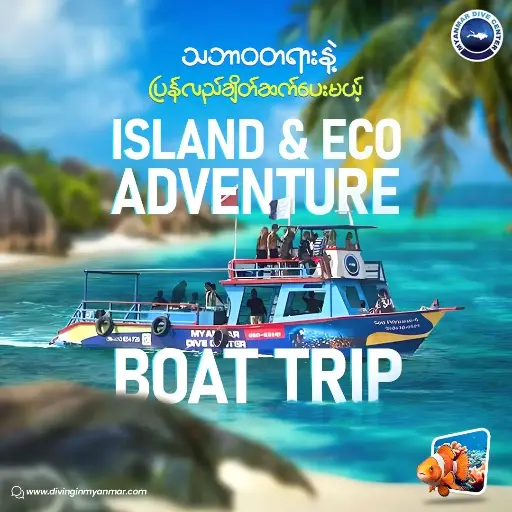 Snorkeling Boat Trip